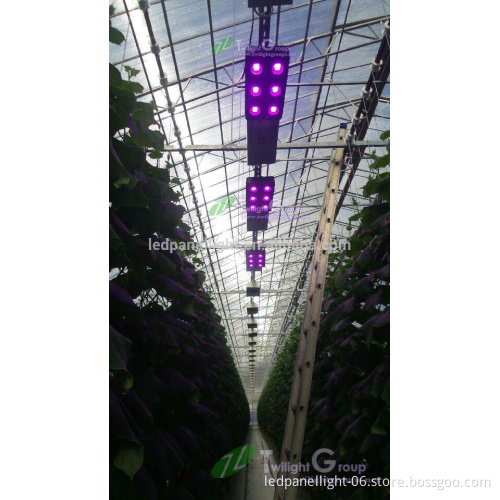 540W COB LED Panel Grow Light System Full Spectrum For Plant Replace HPS Lamp